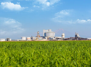 Balküpü Şeker / Aksaray Tesisleri